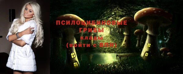 меф Белокуриха