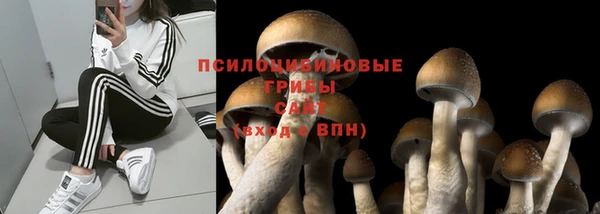 каннабис Беломорск