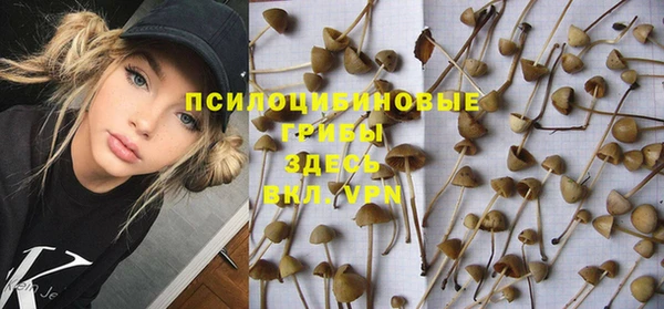каннабис Беломорск
