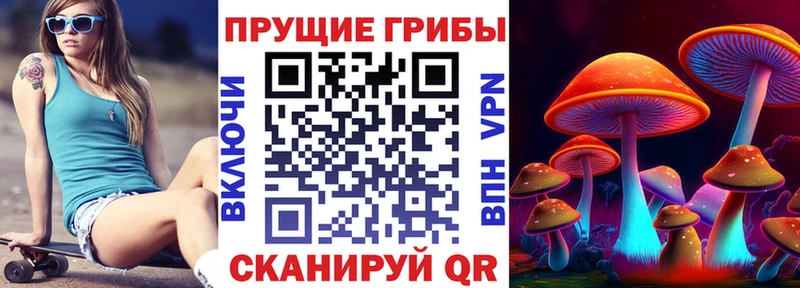 Псилоцибиновые грибы ЛСД  Купить закладки  Гуково 